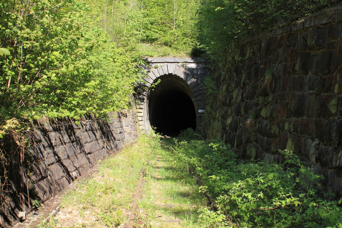 Das westliche Portal des 168 m langen Gerichtsbergtunnels ca. bei Km 36,5 ; im Bereich des aufgelassenen Teils der Leobersdorferbahn, Mai 2011
