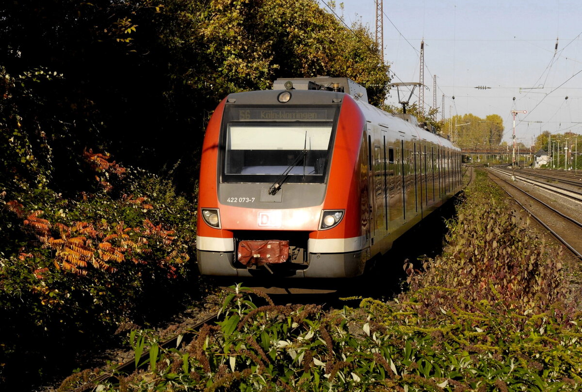 Dass 422 073 am 28.10.21 solo auf der S 6 unterwegs ist, ist nur einer von gefühlt Tausenden Verstößen, die sich die EVU im VRR zur Zeit leisten. Aufnahme an der herbstlichen S-Bahn-Station Düsseldorf-Rath.