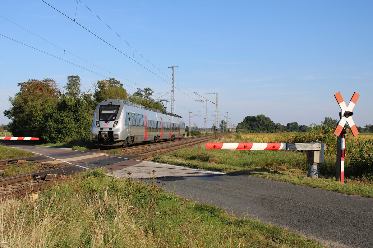 DB 1 442 172 passiert als RE 13 (Leipzig Hbf - Magdeburg Hbf) den WSSB Bahnübergang bei Güterglück. (09.09.2023)