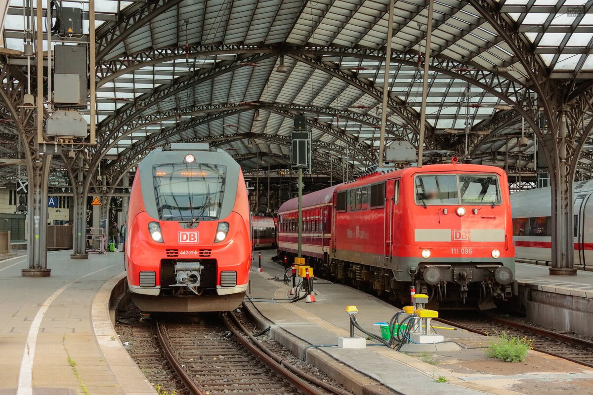 DB 111 096  Charlotte   Miete oder kaufe mich.  mit Sonderzug nach Norddeich Mole & DB 442 255 als RE9 nach Siegen in K�ln Hbf, Mai 2025.