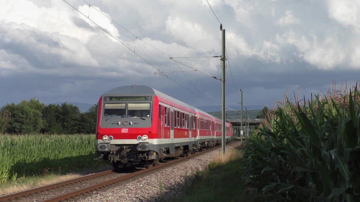 DB 111 189 schiebt am 25.07.2021 ihren Murgtäler Radexpress von Freudenstadt nach Ludwigshafen am Rhein. Hier fährt wird der Wittenberger Steuerwagen gerade durch die Maisfelder kurz vor Rastatt Beinle.