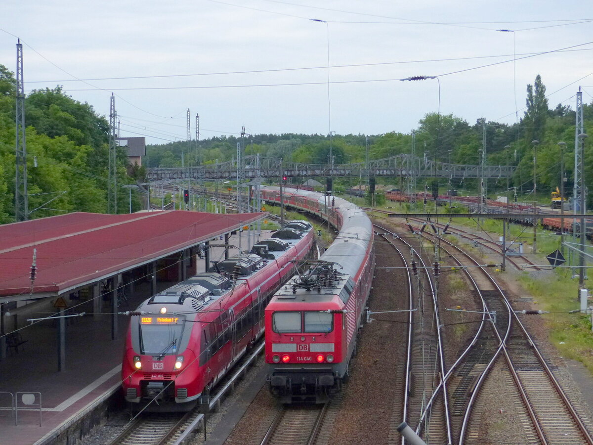 DB 114 040 mit einem CruiseTrain nach Warnemünde, am 08.06.2017 in Birkenwerder.