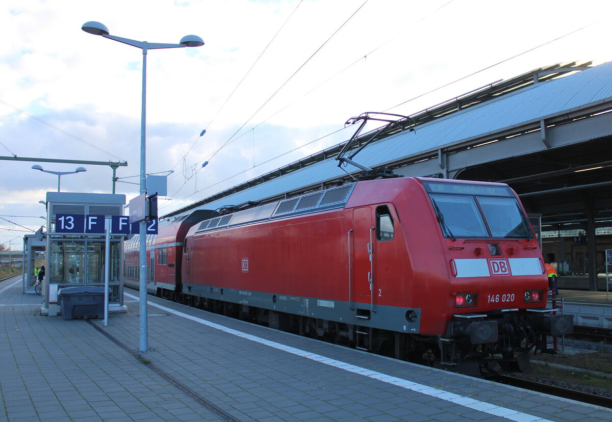 DB 146 020 mit dem RE 16322 nach Magdeburg Hbf, am 12.11.2023 in Halle (S) Hbf.

