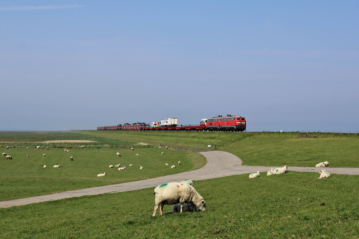 DB 218 385-3 und 218 380 erreichen mit ihrem SyltShuttle Autozug über den Hindenburgdamm das Festland auf ihrer Fahrt von Westerland(Sylt) nach Niebüll. (15.05.2023)