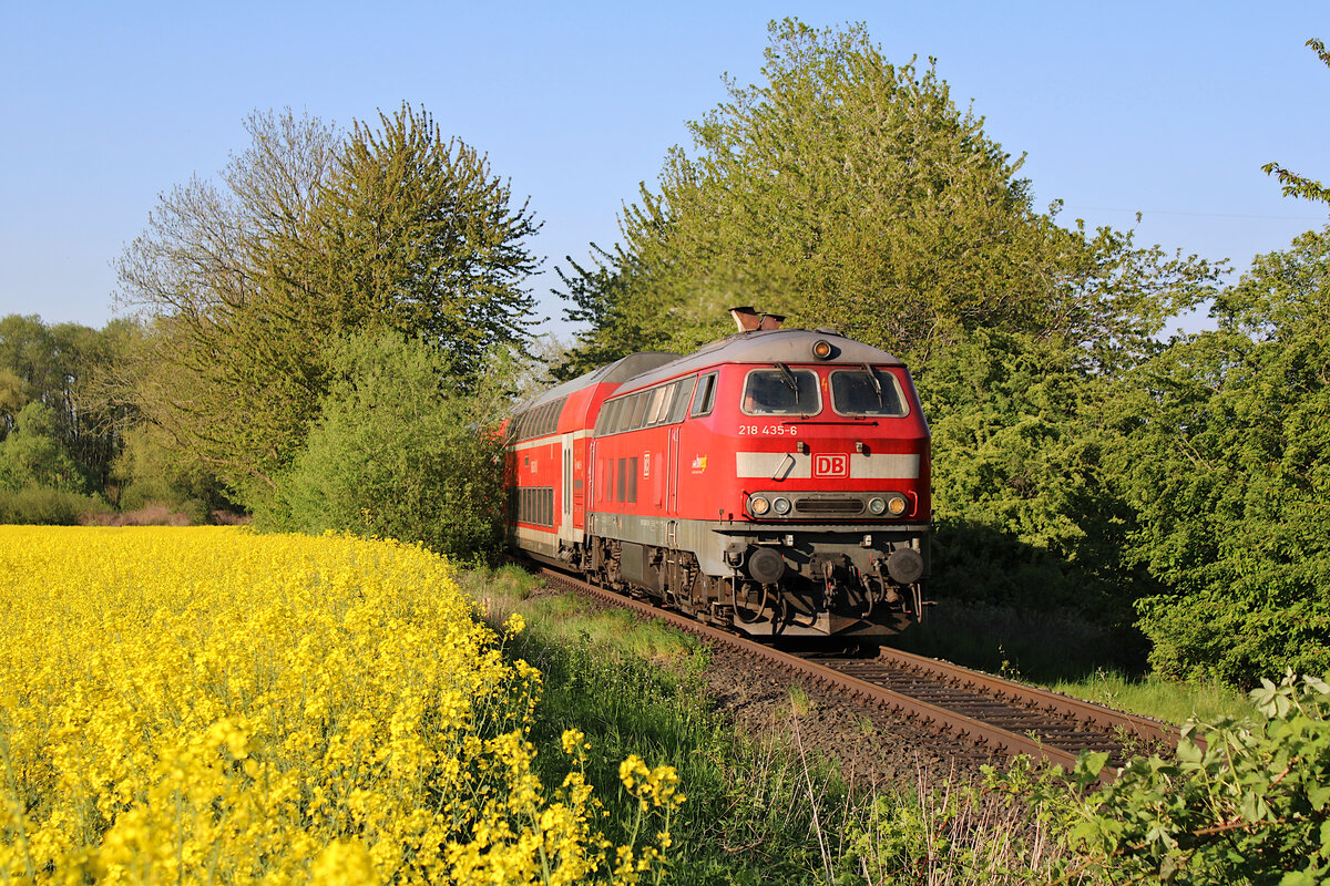 DB 218 435-6 fährt im Frühjahr an einem der Rapsfelder an der Bäderbahn vorbei. Hier hat die RB85 Neustadt(Holst) - Lübeck Hbf gerade den Ort Haffkrug verlassen. (13.05.2023)