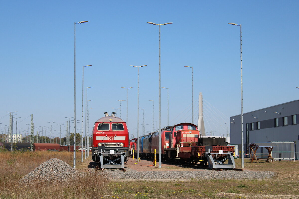 DB 218 831-6 + 294 739-8 am 21.09.2024 beim Tag der Schiene bei DB Cargo in Halle (S).