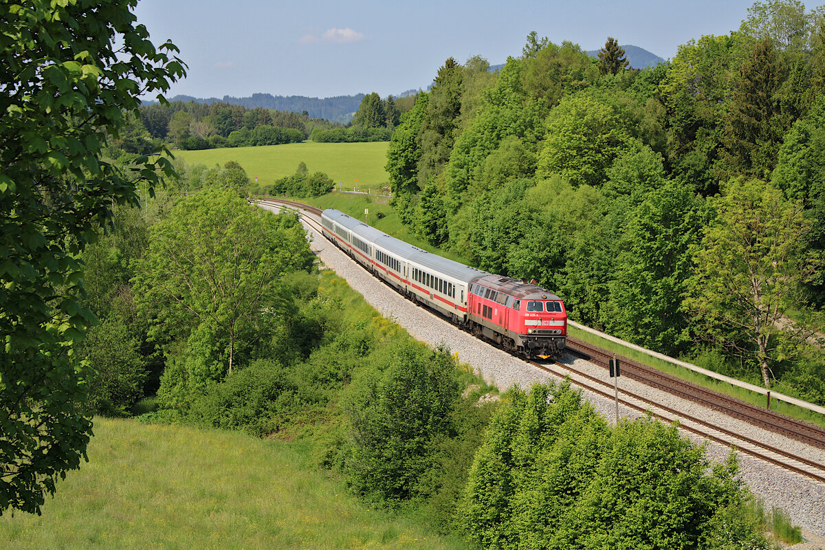 DB 219 429-9 brummt mit IC 2085 von Oberstdorf kommend über die Allgäubahn in Richtung Augsburg, hier bei Martinszell. (28.05.2023)