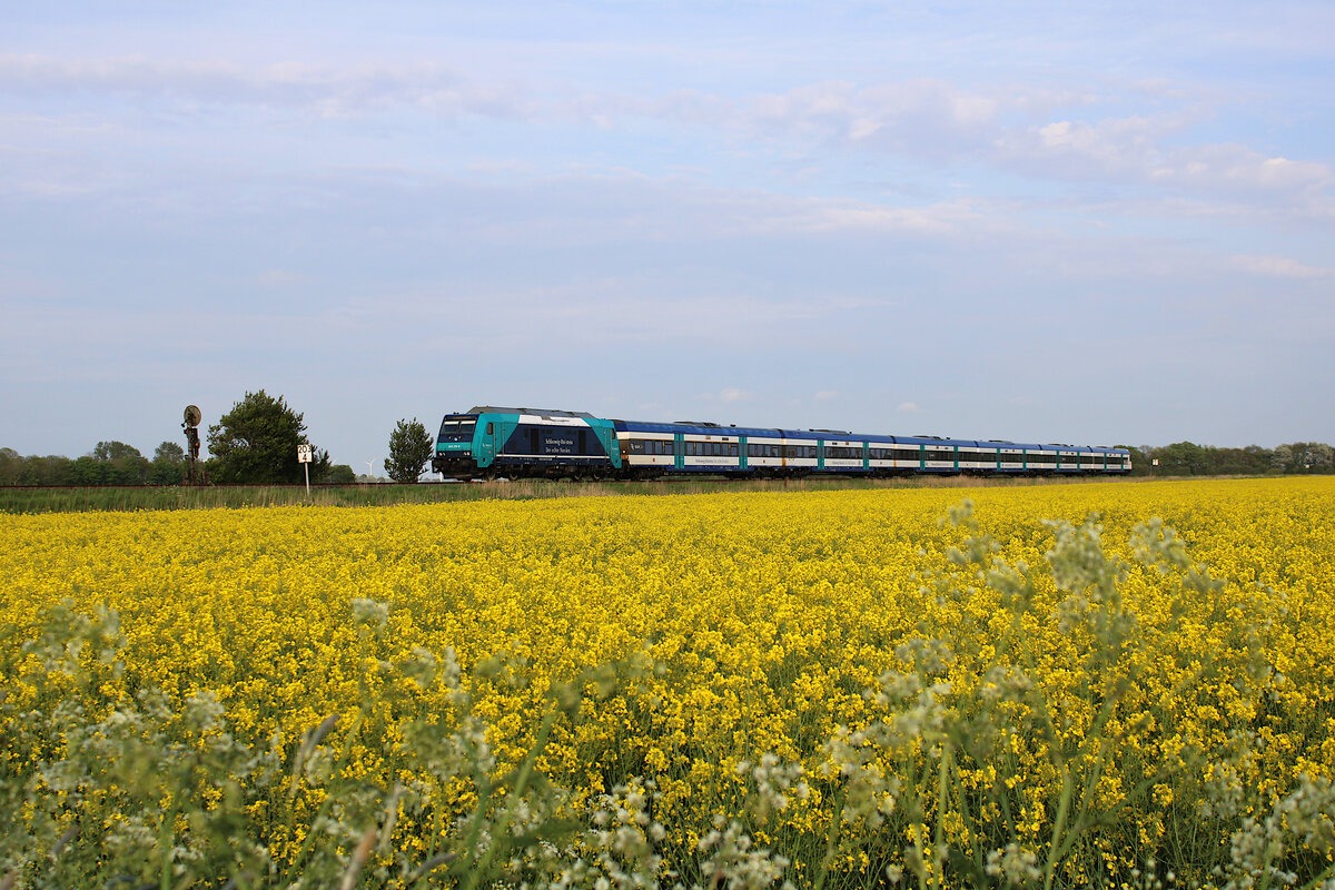 DB 245 212-6 passiert das Einfahrvorsignal von Lehnshallig auf der frühlingshaften Marschbahn mit einem RE6 nach Westerland auf Sylt. (15.05.2023)
