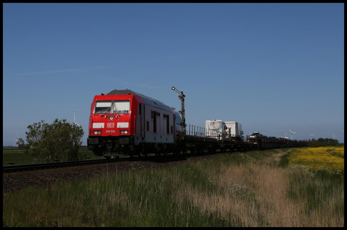 DB 245024 ist hier bei Lehnshallig am 29.5.2020 um 11.33 Uhr mit einem schwach belegten Autozug in Richtung Niebüll unterwegs.