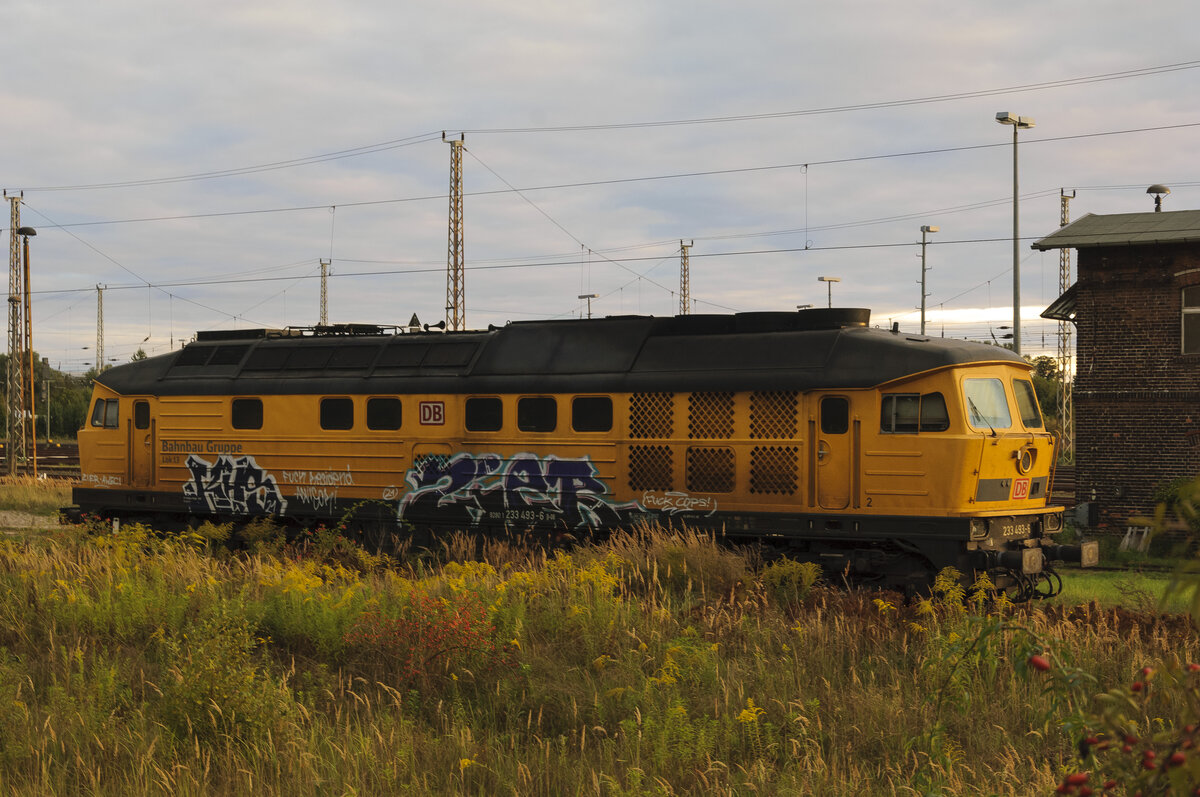 DB Bahnbau Gruppe mit  233 493-6/Lok 13  (NVR-Nummer  92 80 1233 493-6 D-DB )
Angermünde 16/09/2021
