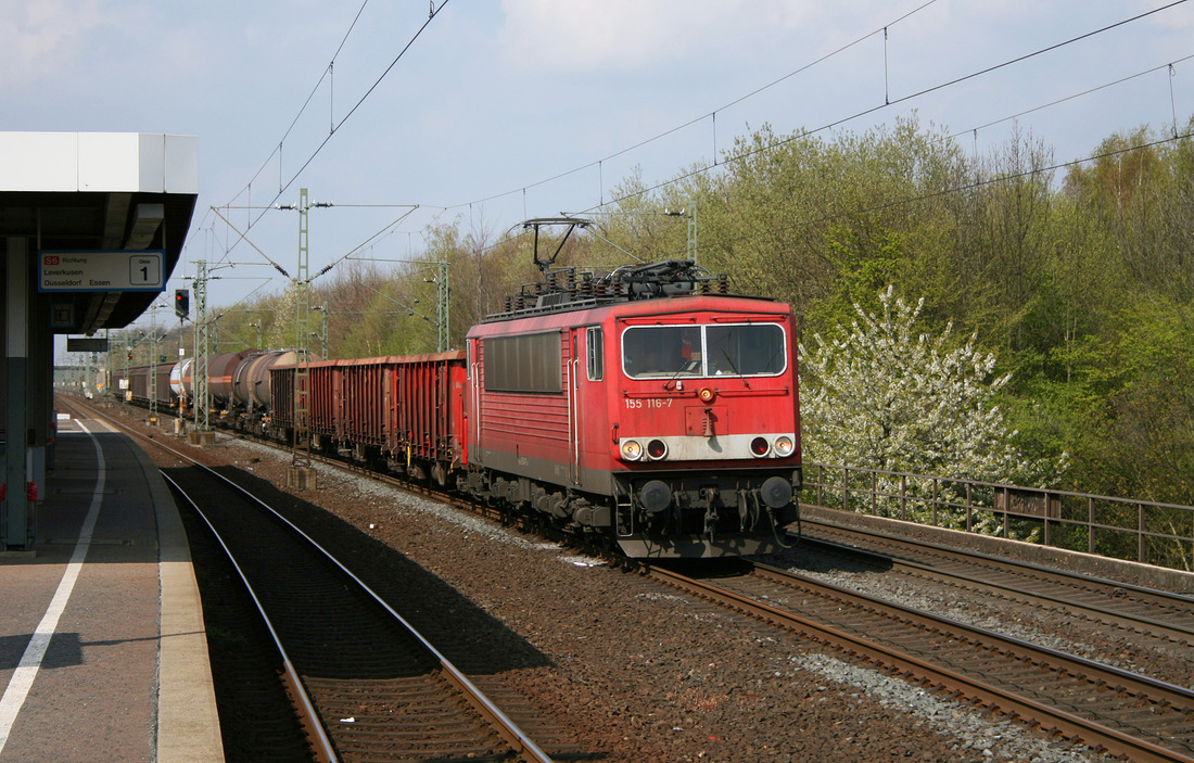 DB Cargo 155 116 mit EK 54533 Düsseldorf-Reisholz - Gremberg. // Köln-Stammheim // 13. April 2012