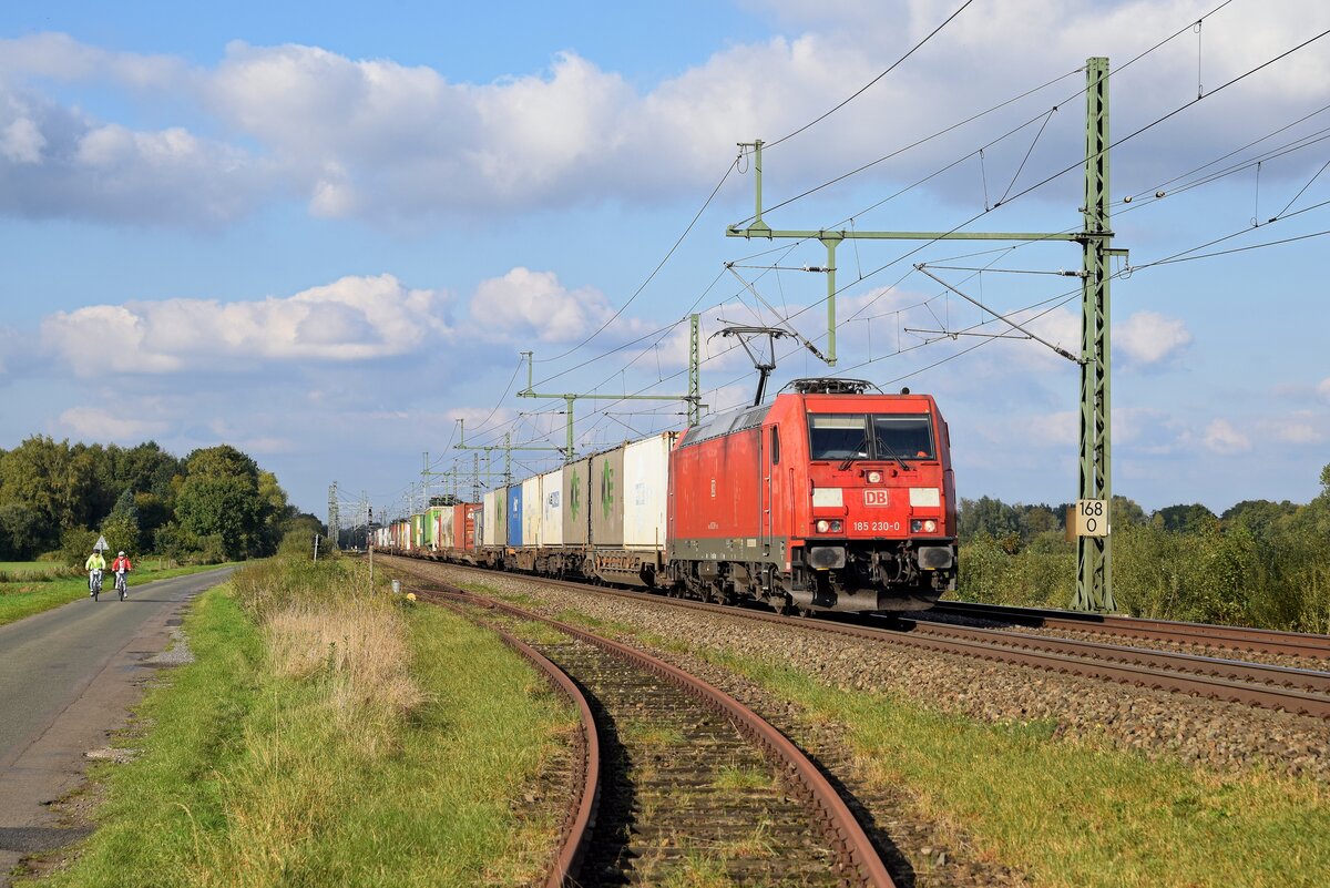 DB Cargo 185 230 mit KLV-Zug DGS 42737 Malmö godsbangård - Köln Eifeltor (Diepholz, 08.10.2021). - 
Standort des Fotografen: BÜ der öffentlichen Straße  An der Bahn  über das nicht mehr benutzte Anschlussgleis zum Fliegerhorst Diepholz der Bundeswehr.
