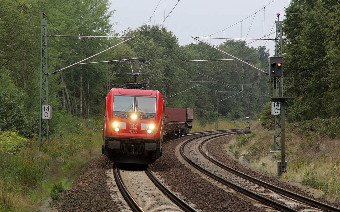 DB Cargo 187 139 // Ludwigsfelde-Struveshof // 24. September 2019