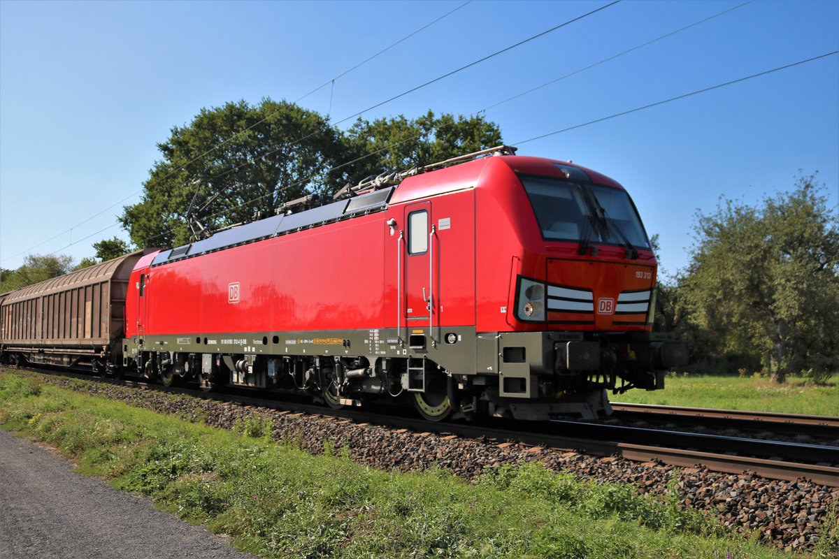 DB Cargo 193 313-4 am 23.08.19 in Maintal Ost 