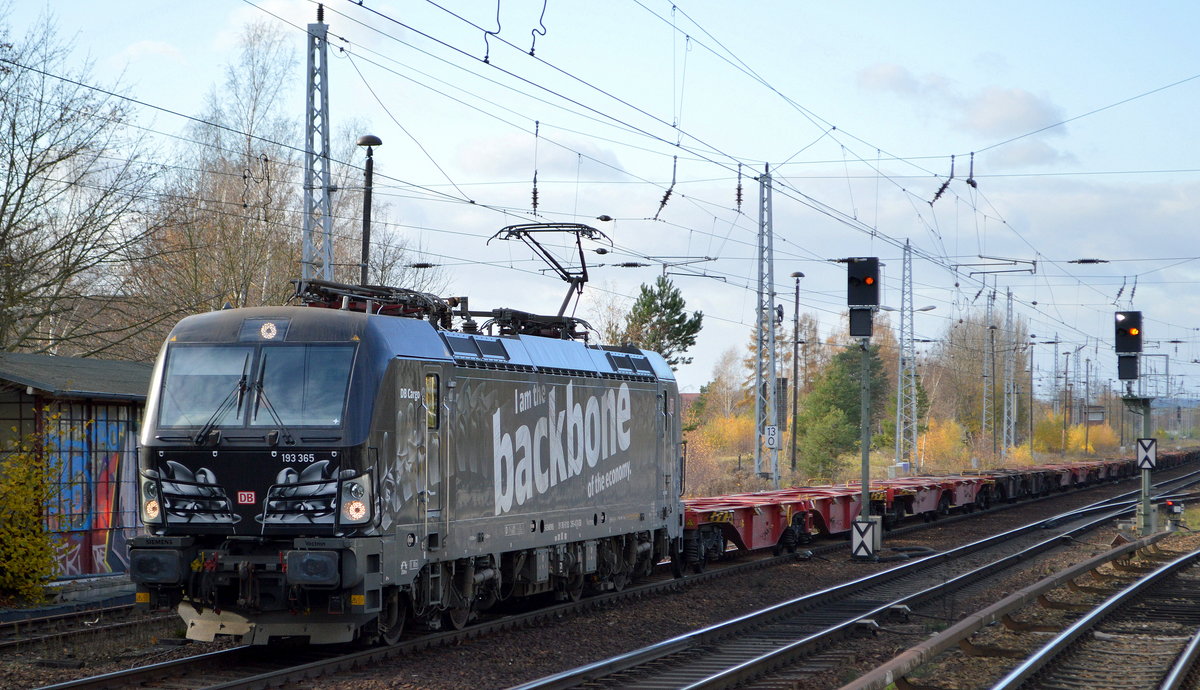 DB Cargo AG [D] mit der schön gestalteten  193 365  [NVR-Nummer: 91 80 6193 365-4 D-DB] und Containerzug (leer) Richtung Frankfurt/Oder am 19.11.20 Bf. Berlin Hirschgarten.
