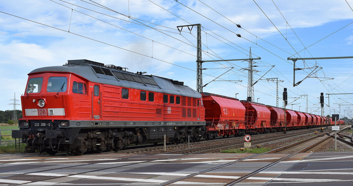 DB Cargo AG, Mainz mit ihrer  233 288-0 , Name:  Patsy  (NVR:  92 80 1233 288-0 D-DB ) mit einem Kalisalz-Transportzug am 20.09.23 Durchfahrt Bahnhof Rodleben.
