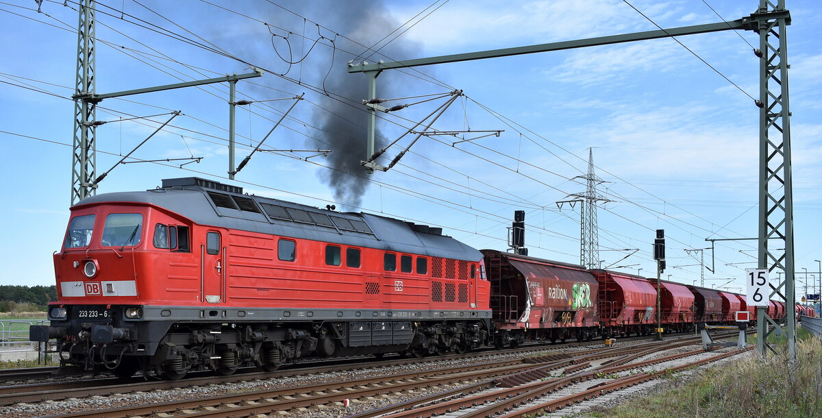 DB Cargo AG, Mainz mit ihrer  233 233-6  (NVR:  92 80 1233 233-6 D-DB ), die nur mit großer Mühe und viel Dampf mit ihrem Kali-Transportzug sich wieder in Bewegung setzt nach kurzem Halt am Haltesignal am 21.09.23 Höhe Bahnhof Rodleben.
