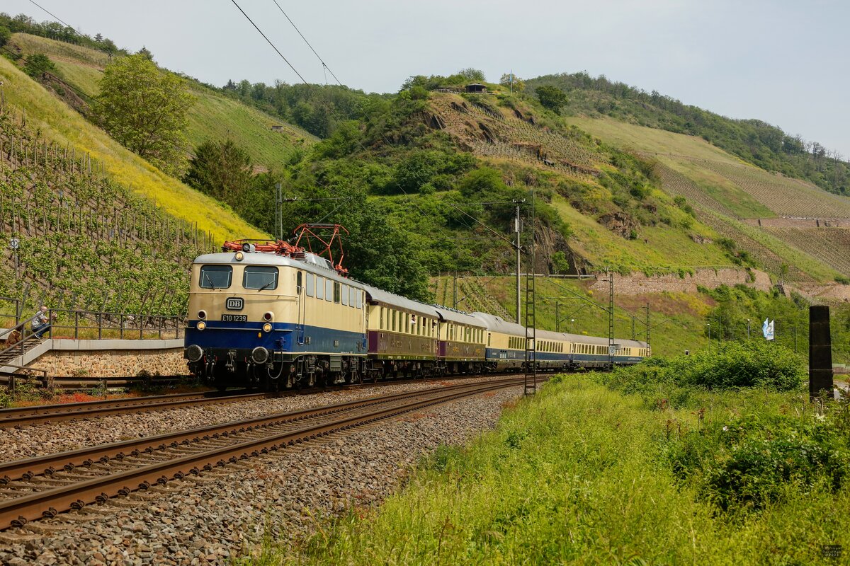 DB E10 1239 mit FEK-Rheingold am Bopparder Hamm, Mai 2023.