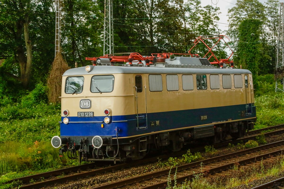 DB E10 1239 in Wuppertal, Juni 2024.