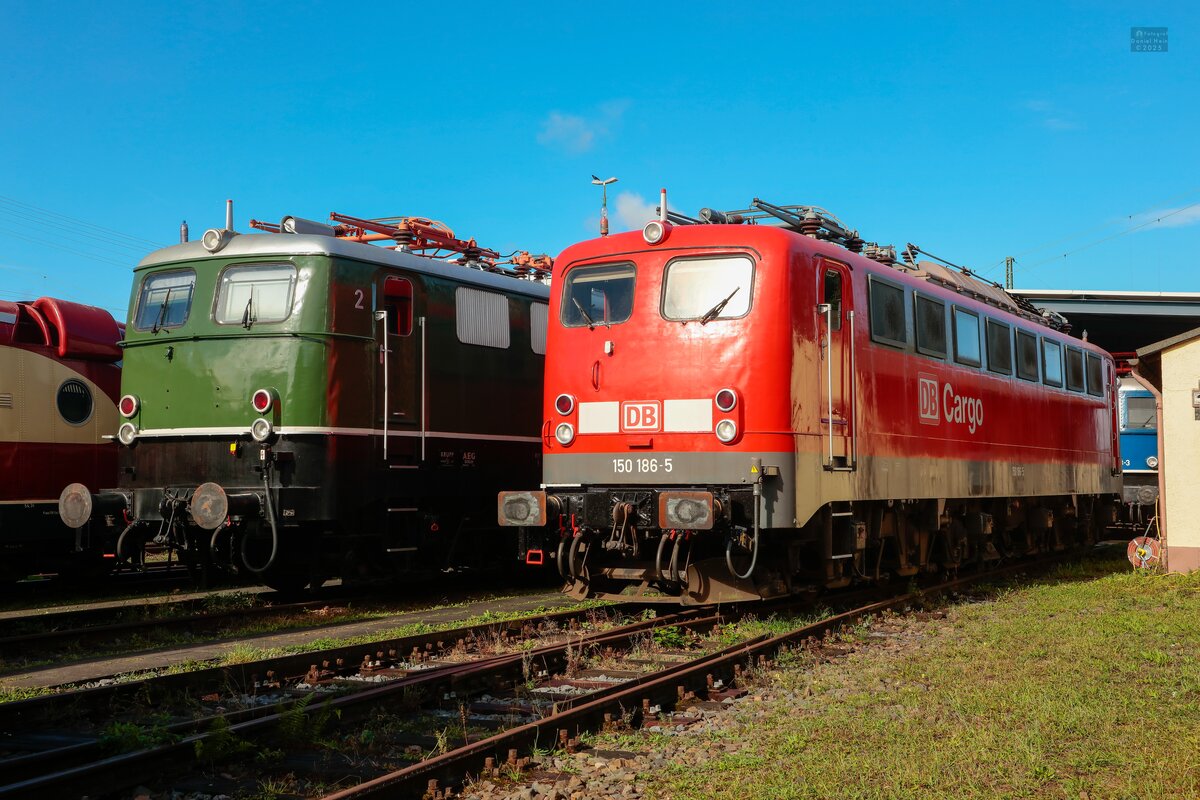 DB E50 091 ohne Lokschild & 150 186-5 DB Cargo im neuem Lack im DB Museum Koblenz, September 2025.