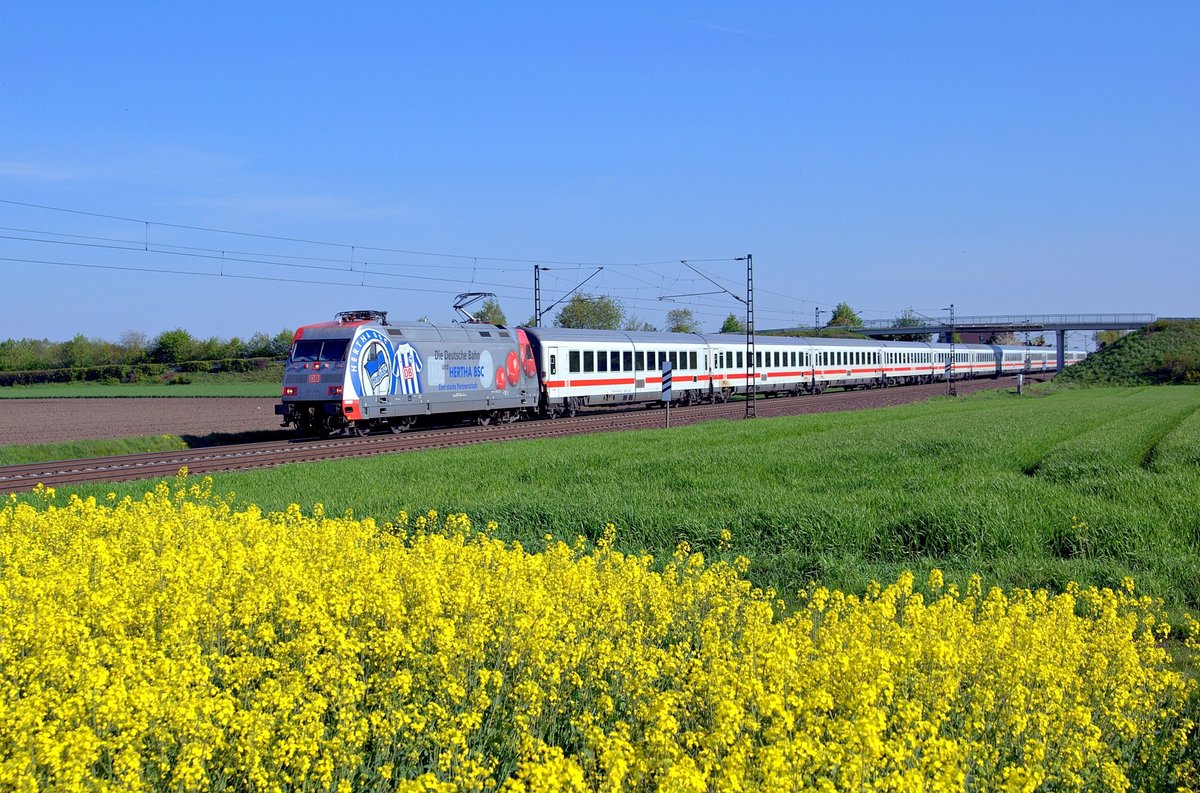 DB Fernverkehr 101 144  HertHa BSC  mit IC 2023 Hamburg-Altona - Frankfurt (Main) Hbf (Marl, NI, 07.05.16).