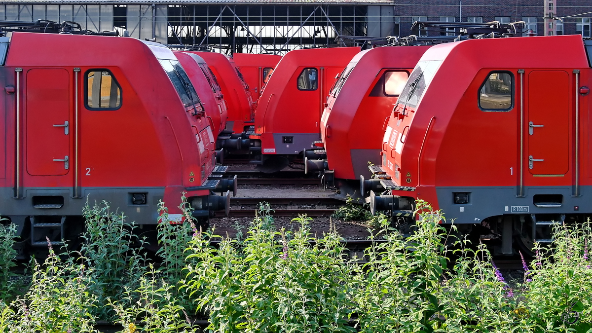 DB-Nasenparade auf dem Hauptbahnhof Wanne-Eickel. (Juni 2019)