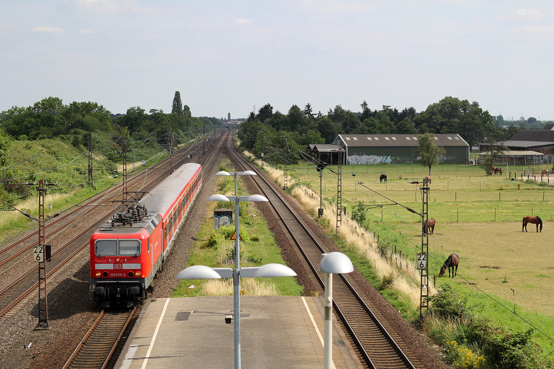 DB Regio 143 606 // Langenfeld-Berghausen // 24. Juni 2014