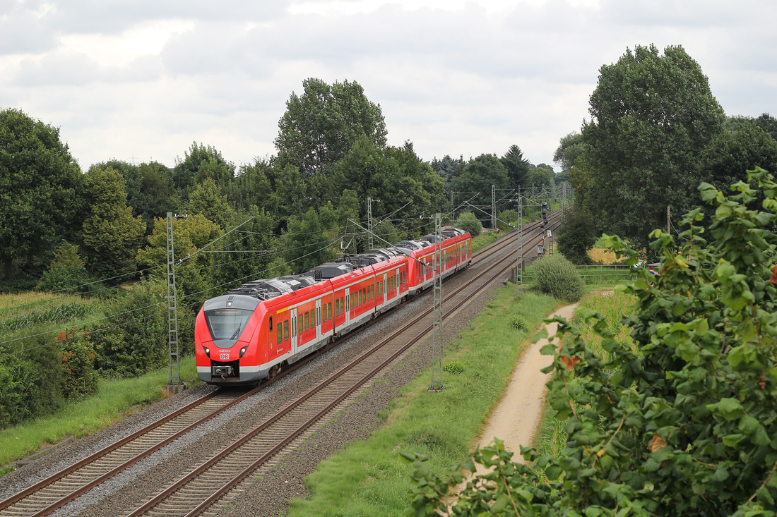 DB Regio 1440 313 + 305 // Aufgenommen zwischen Korschenbroich und Mönchengladbach-Lürrip. // 29. Juli 2016

