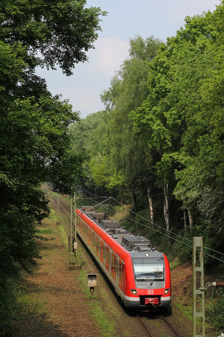 DB Regio 422 012 // Aufgenommen zwischen Gelsenkirchen-Hassel und Gelsenkirchen-Buer Nord. // 30. April 2014