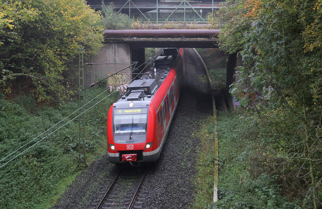 DB Regio 422 015 // Zwischen Gelsenkirchen-Hassel und Gelsenkirchen-Buer Nord. // 29. Oktober 2014