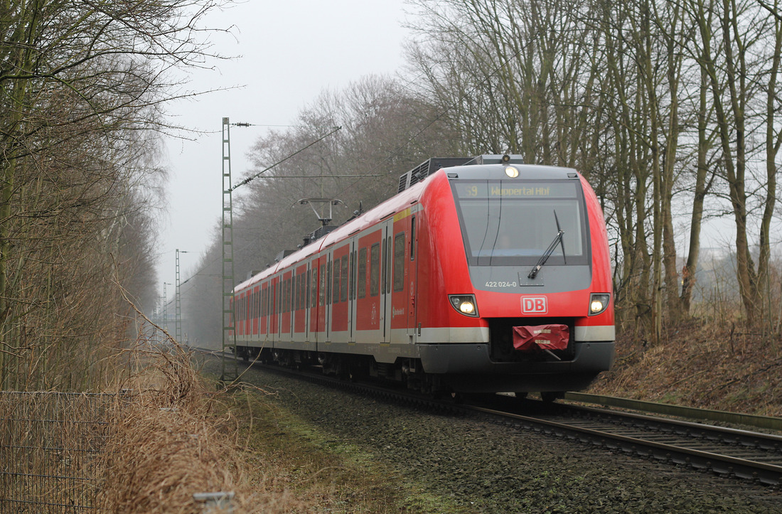 DB Regio 422 024 // Aufgenommen zwischen Marl Mitte und Gelsenkirchen-Hassel. // 18. Februar 2015