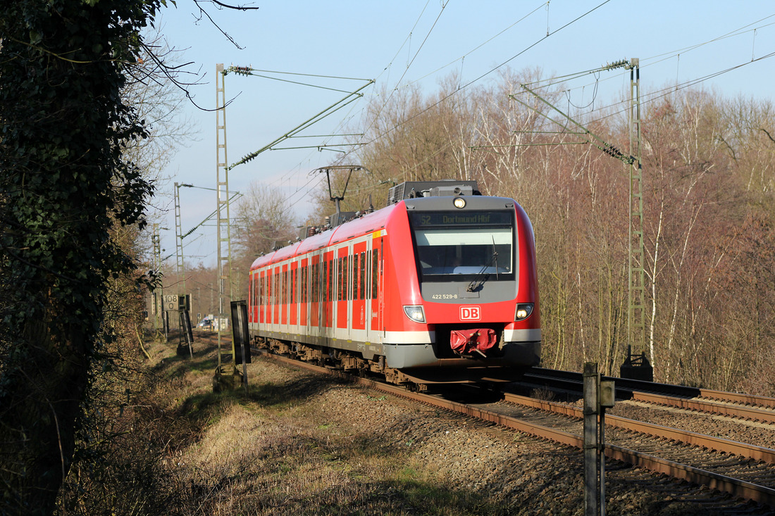 DB Regio 422 029 // Aufgenommen zwischen Castrop-Rauxel Hbf und Dortmund-Mengede. // 12. Februar 2016
