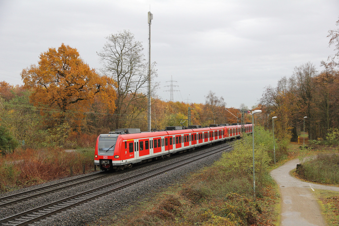 DB Regio 423 291 // Neuss // 21. November 2016 