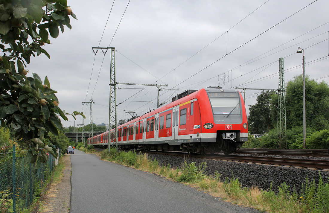 DB Regio 423 301 + 423 381 // Frankfurt; Aufgenommen zwischen den Stationen Frankfurt West und Frankfurt-Eschersheim. // 15. Juli 2015 
