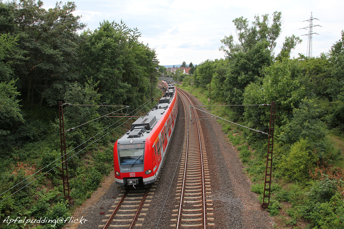 DB Regio 423 303 + 423 385 // Kelsterbach // 6. Juli 2014 