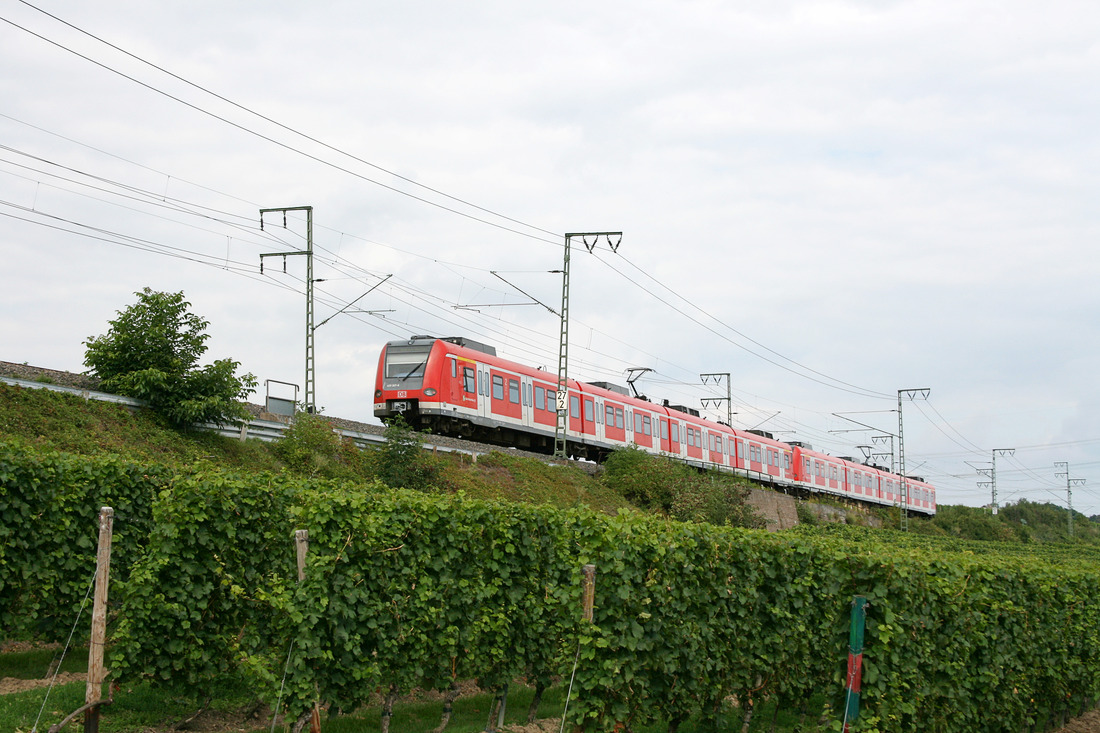 DB Regio 423 327 (Nachschuss) + 423 415 (führend) // Hochheim am Main // 9. August 2010