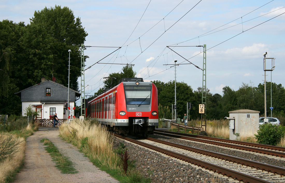 DB Regio 423 377 + 423 433 // Frankfurt (Main)-Sindlingen // 9. August 2010
