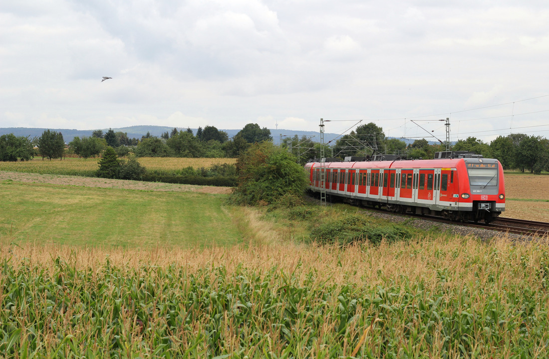 DB Regio 423 398 + 423 326 // Aufgenommen zwischen den Stationen Seulberg und Bad Homburg. // 5. September 2018