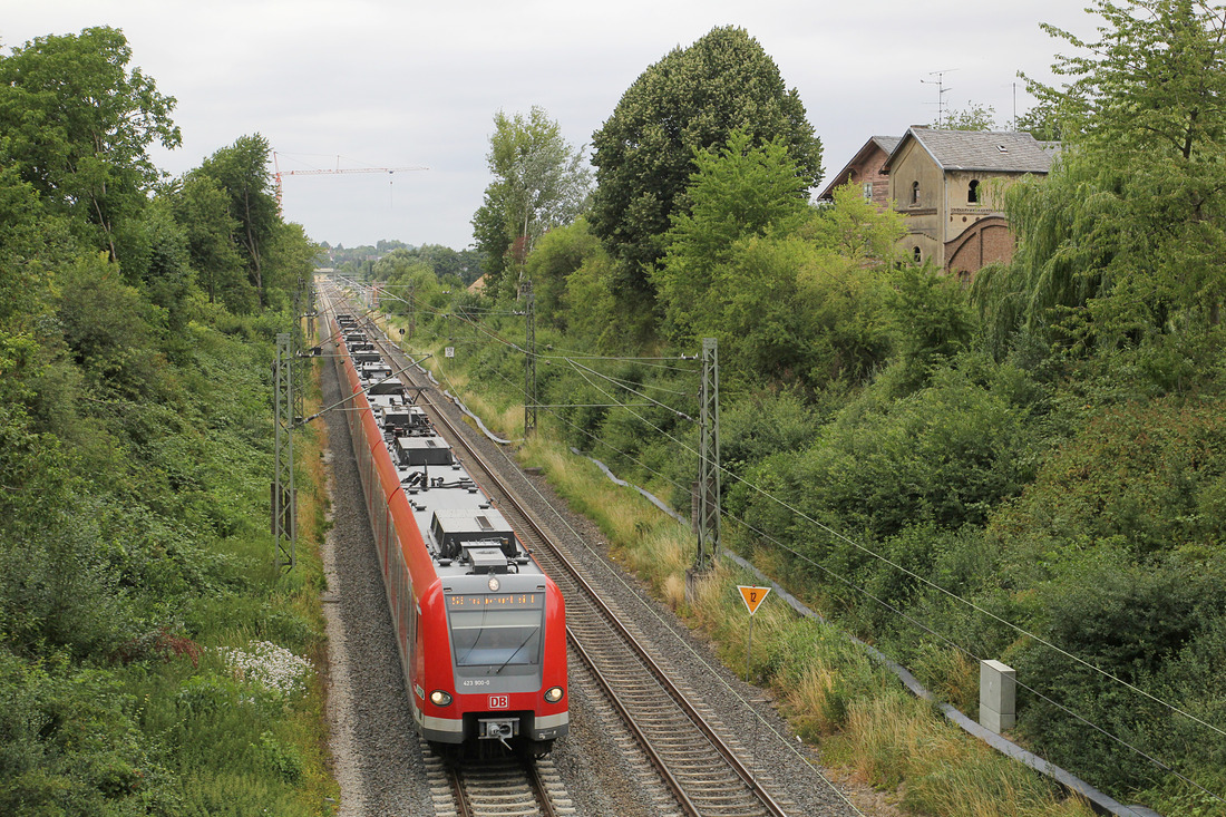 DB Regio 423 400 + 423 xxx // Groß Karben // 15. Juli 2015