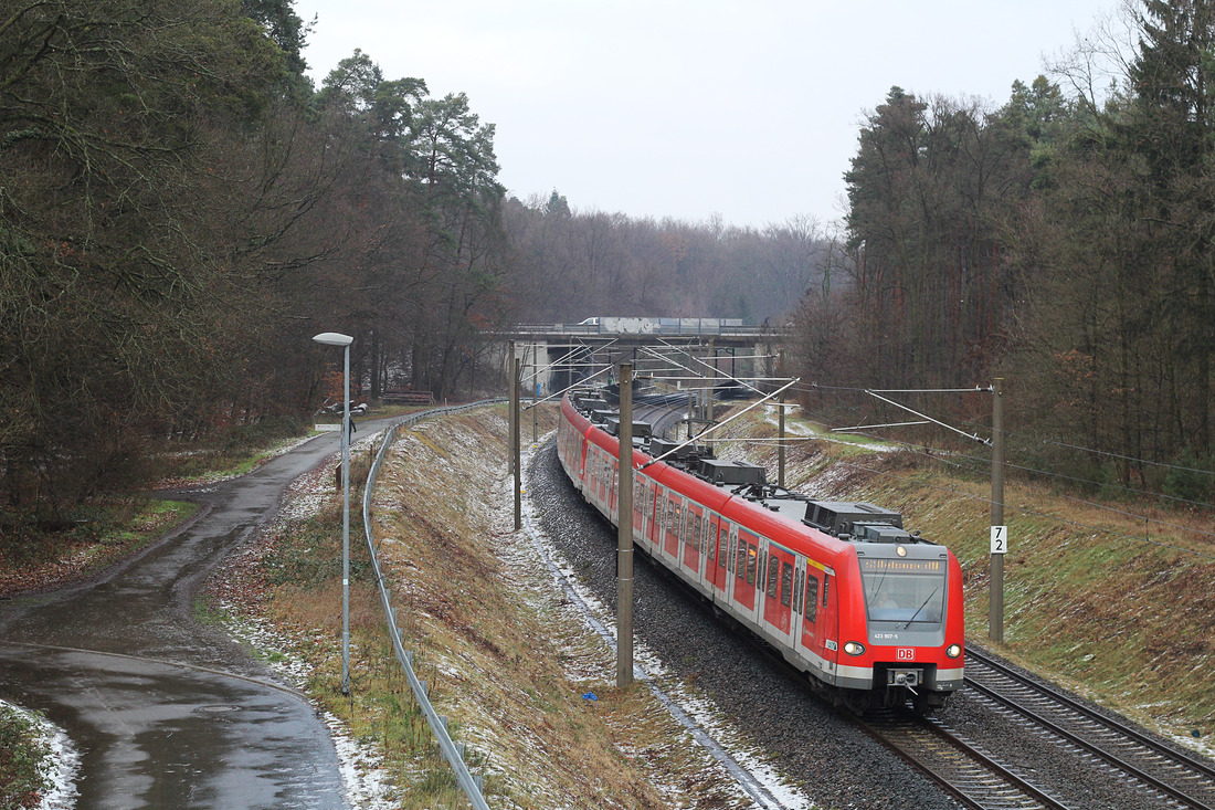 DB Regio 423 407 + 423 xxx // Heusenstamm // 23. januar 2016