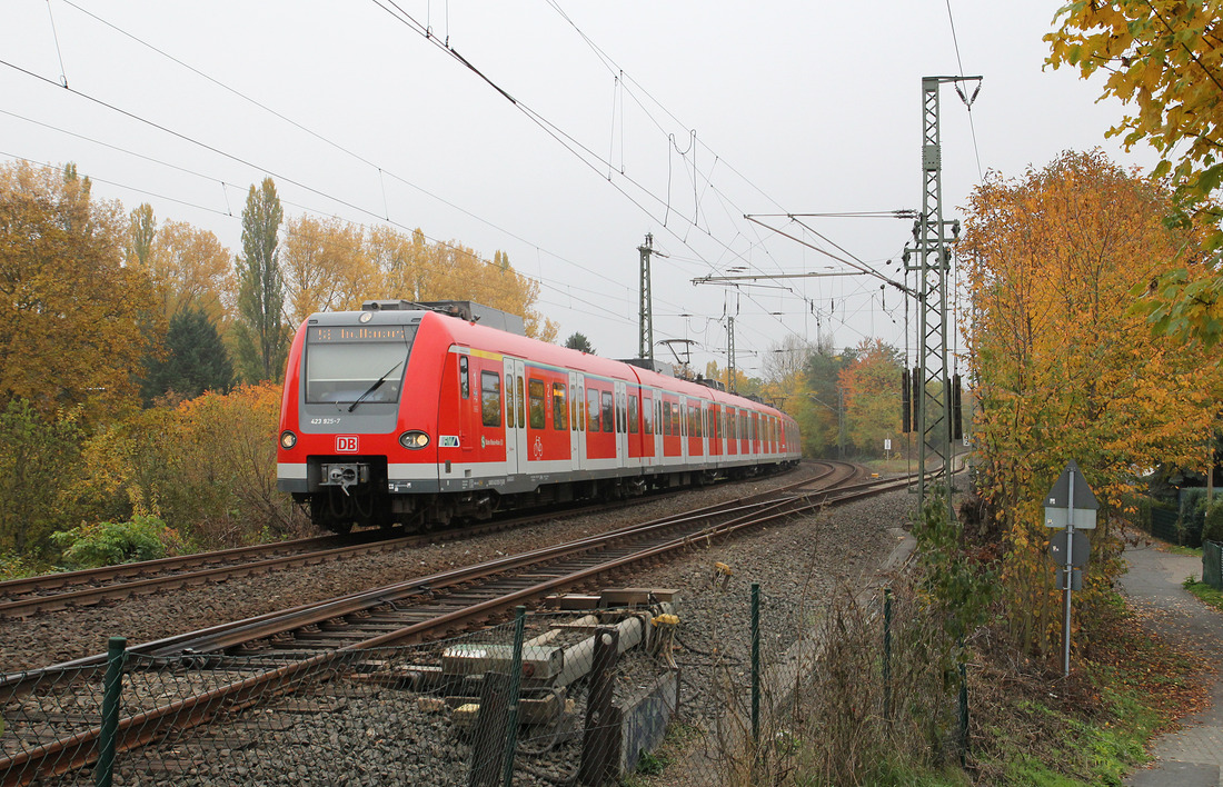 DB Regio 423 425 + 423 445 // Frankfurt-Rödelheim // 28. Oktober 2015