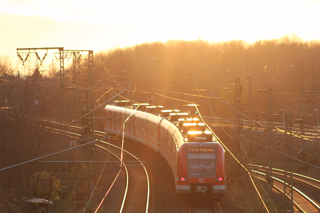 DB Regio 423 431 // Unweit der Station Frankfurt-Höchst Farbwerke // 23. November 2015
