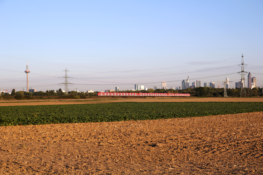 DB Regio 423 xxx + 423 xxx + 423 xxx // Eschborn // 2. Oktober 2015
