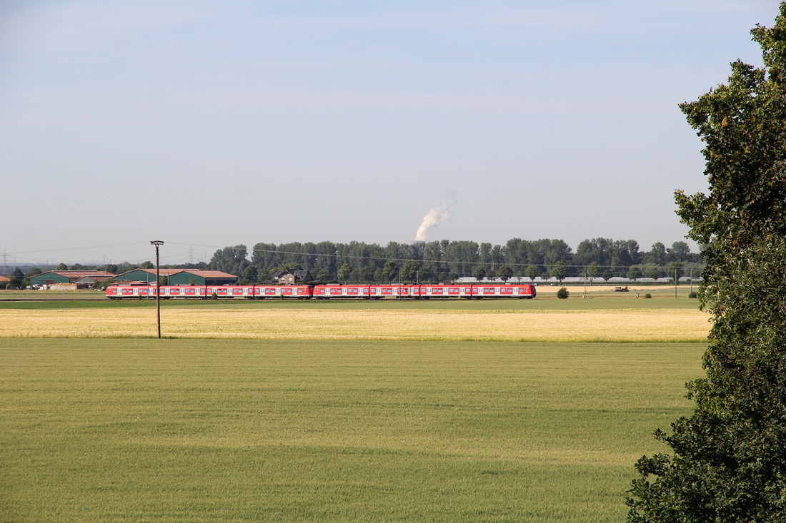 DB Regio 423 xxx + DB Regio 423 xxx // Neuss (zwischen Allerheiligen und Nievenheim) // 2. Juni 2020