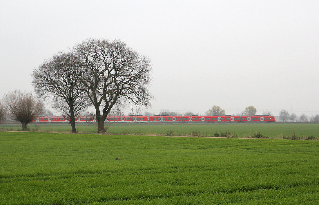 DB Regio 424 xxx + 424 xxx als S 1  Minden - Haste // Aufgenommen zwischen Minden und Haste (genauer Ort unbekannt). // 30. November 2014