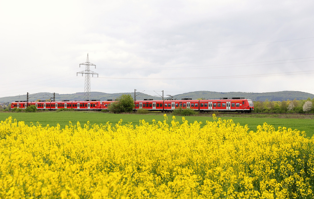 DB Regio 424 xxx + 424 xxx // Unbekannter Aufnahmeort zwischen Bückeburg und Wunstorf. // 3. Mai 2016