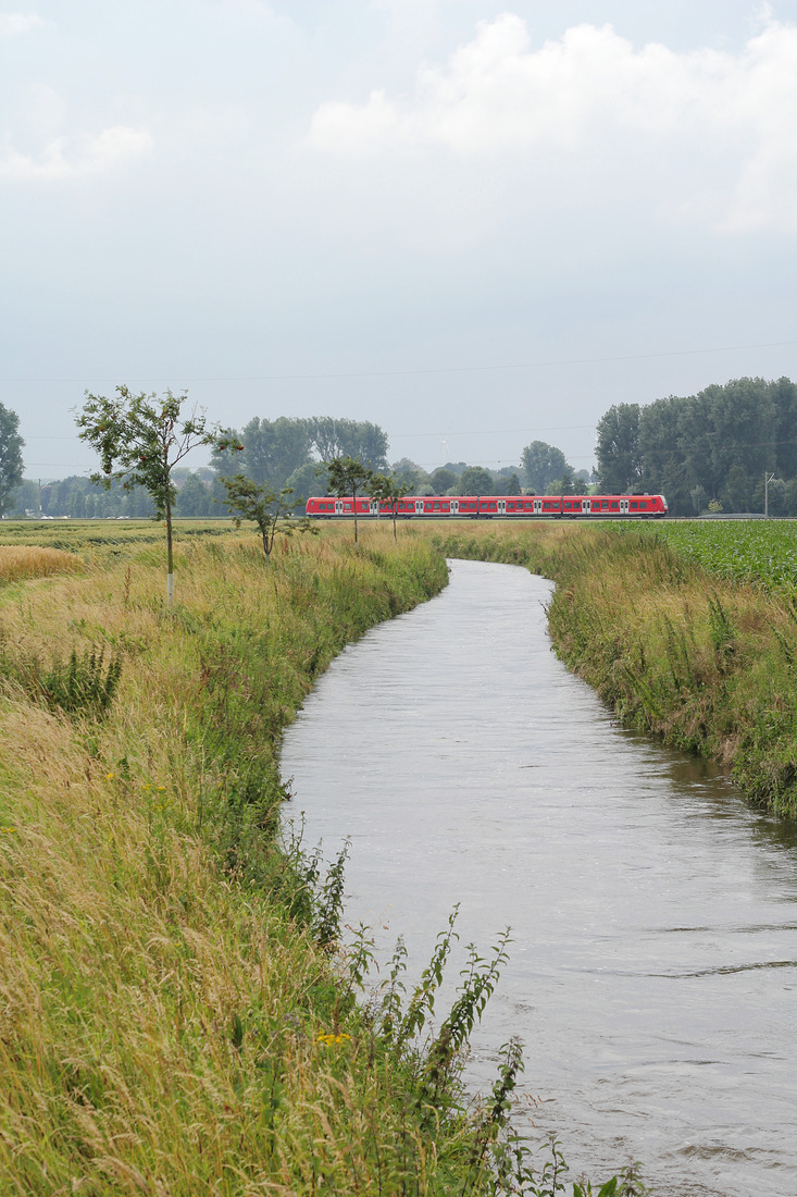 DB Regio 425 082 // Zwischen Heinsberg-Randerath und Heinsberg-Horst // 29. Juni 2014
