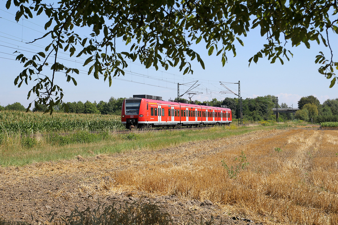 DB Regio 425 202  Neustadt an der Weinstraße  // Böhl-Iggelheim // 17. August 2013
