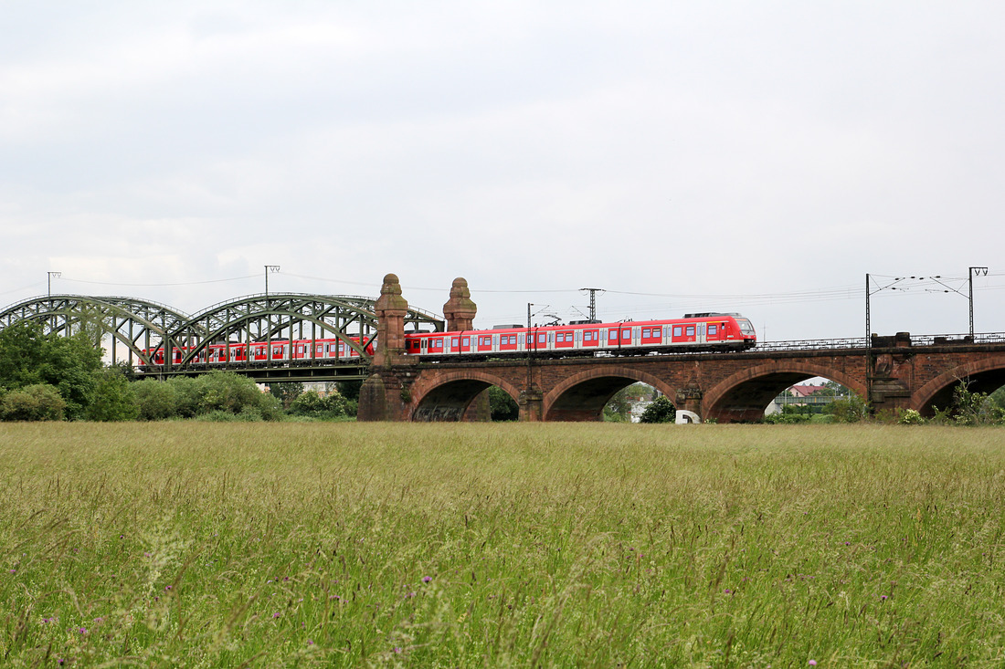DB Regio 430 xxx + 430 xxx // Wiesbaden (Ortsteil Mainz-Kostheim) // 29. Mai 2015