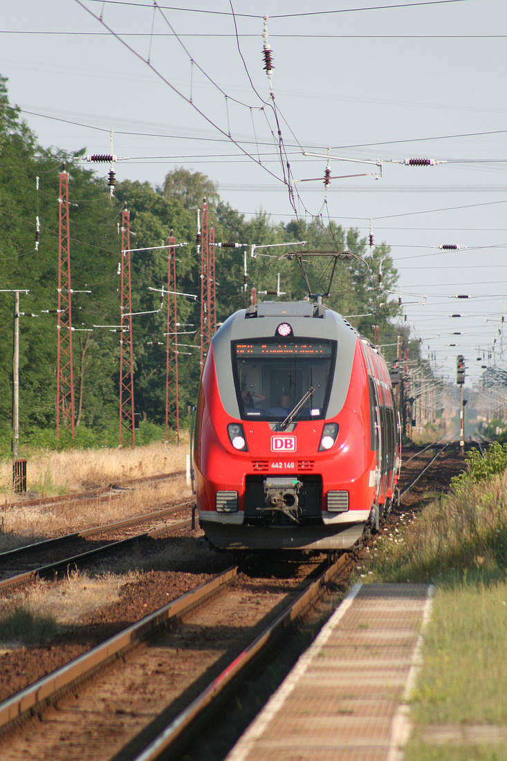 DB Regio 442 146 // Ziltendorf // 25. Juli 2013